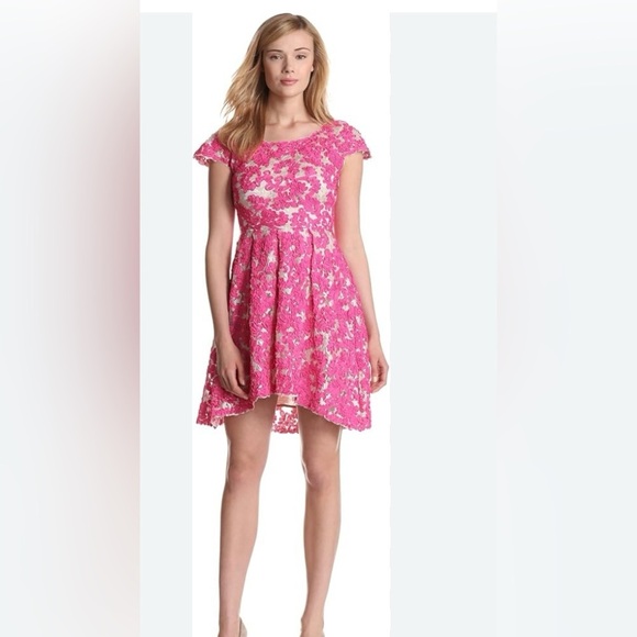 Yoana Baraschi Anthropology Fit and Flare Dress. Mesh with Pink Ribbon Overlay. - Picture 1 of 16